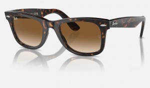 Ray Ban Original Wayfarer Classic Men's Sunglasses Brown | 76304-RXZP