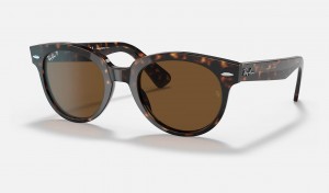 Ray Ban Orion Men's Sunglasses Brown | 46095-AHMU