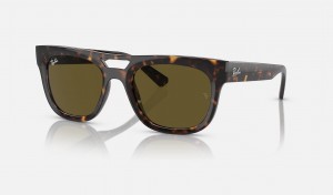 Ray Ban Phil Bio-based Men's Sunglasses Brown | 81350-FZRB