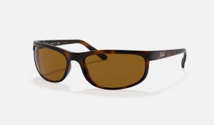 Ray Ban Predator 2 Men's Sunglasses Brown | 23140-UPOV