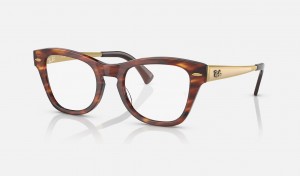 Ray Ban RB0707vm Optics Women's Eyeglasses Gold | 43702-LOTI