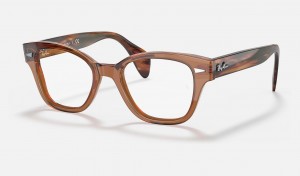 Ray Ban RB0880 Optics Men's Eyeglasses Brown | 93608-WRXG