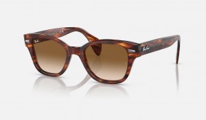 Ray Ban RB0880s Men's Sunglasses Brown | 47308-ZQYW