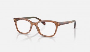 Ray Ban RB1591 Optics Kids' Eyeglasses Brown | 56987-EBFT