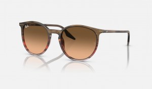 Ray Ban RB2204 Men's Sunglasses Brown | 56301-REHW