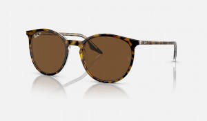 Ray Ban RB2204 Men's Sunglasses Brown | 69480-MBJF