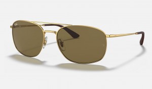 Ray Ban RB3654 Men's Sunglasses Brown | 71405-ZVMS