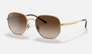 Ray Ban RB3682 Women's Sunglasses Brown | 04398-QBPW