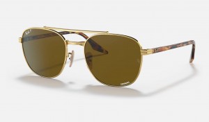 Ray Ban RB3688 Men's Sunglasses Brown | 21560-NKQY