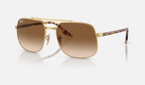 Ray Ban RB3699 Men's Sunglasses Brown | 07519-CNOG