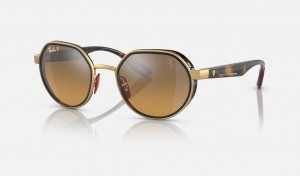 Ray Ban RB3703m Scuderia Ferrari Collection Women's Sunglasses Brown | 64870-FWDL