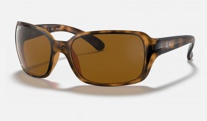 Ray Ban RB4068 Women's Sunglasses Brown | 41685-GJDH