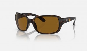 Ray Ban RB4068 Women's Sunglasses Brown | 42178-NQAU