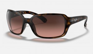 Ray Ban RB4068 Women's Sunglasses Brown | 64537-BGMZ