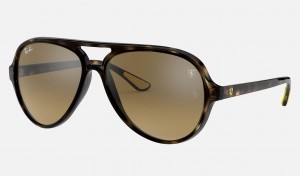 Ray Ban RB4125m Scuderia Ferrari Collection Men's Sunglasses Brown | 72493-DEAX