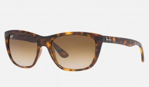 Ray Ban RB4154 Women's Sunglasses Brown | 90435-SRKM