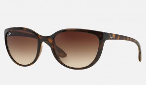 Ray Ban RB4167 Women's Sunglasses Brown | 36954-RHIS