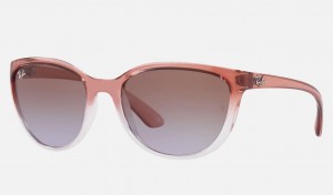 Ray Ban RB4167 Women's Sunglasses Brown | 71820-EFAG