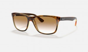 Ray Ban RB4181 Men's Sunglasses Brown | 64923-KSFU