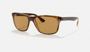 Ray Ban RB4181 Men's Sunglasses Brown | 91620-LTFB