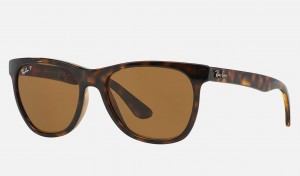 Ray Ban RB4184 Women's Sunglasses Brown | 71234-GHQJ