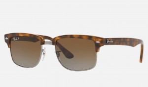 Ray Ban RB4190 Men's Sunglasses Brown | 97012-ZQPJ