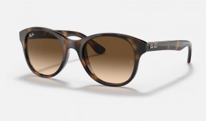 Ray Ban RB4203 Men's Sunglasses Brown | 39184-KNFV