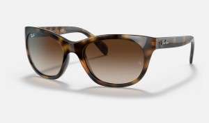 Ray Ban RB4216 Women's Sunglasses Brown | 76928-FWNS