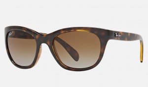 Ray Ban RB4216 Women's Sunglasses Brown | 23086-SNMT