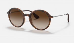 Ray Ban RB4222 Men's Sunglasses Brown | 62479-MOIF