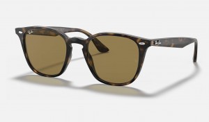 Ray Ban RB4258 Men's Sunglasses Brown | 24563-TBLP