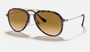 Ray Ban RB4298 Men's Sunglasses Brown | 49573-TOCK