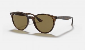 Ray Ban RB4305 Men's Sunglasses Brown | 03752-IXQN