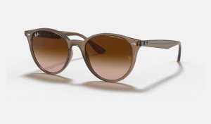 Ray Ban RB4305 Men's Sunglasses Brown | 54392-PIDB