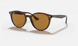 Ray Ban RB4305 Men's Sunglasses Brown | 92341-CYOH