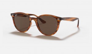 Ray Ban RB4305 Women's Sunglasses Brown | 08947-ONEY