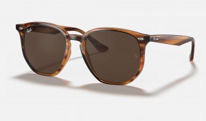 Ray Ban RB4306 Men's Sunglasses Brown | 37065-XPMZ