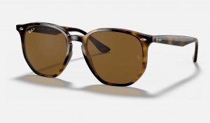 Ray Ban RB4306 Men's Sunglasses Brown | 70594-NXPS