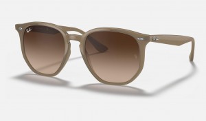 Ray Ban RB4306 Women's Sunglasses Brown | 63295-OBWS