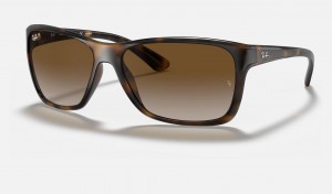 Ray Ban RB4331 Men's Sunglasses Brown | 59207-SFKE