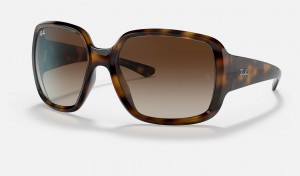 Ray Ban RB4347 Men's Sunglasses Brown | 73964-GWQU