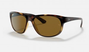 Ray Ban RB4351 Men's Sunglasses Brown | 97285-BVOD