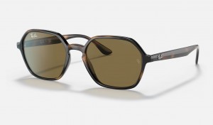 Ray Ban RB4361 Women's Sunglasses Brown | 57048-VDYR