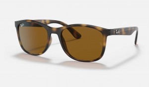 Ray Ban RB4374 Men's Sunglasses Brown | 07946-ZLSA