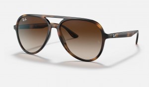 Ray Ban RB4376 Men's Sunglasses Brown | 08413-ZQAJ