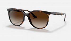 Ray Ban RB4378 Women's Sunglasses Brown | 59837-CRVP