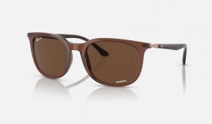 Ray Ban RB4386 Men's Sunglasses Brown | 35467-GLOS