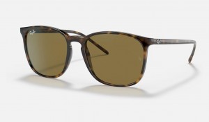 Ray Ban RB4387 Men's Sunglasses Brown | 43627-KGNP