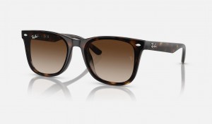 Ray Ban RB4420 Women's Sunglasses Brown | 91658-QJPU