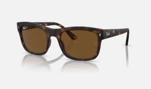 Ray Ban RB4428 Men's Sunglasses Brown | 41789-AJIF